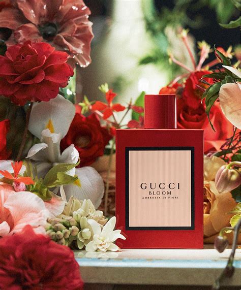 ambrosia di fiori gucci|gucci bloom ambrosia perfume.